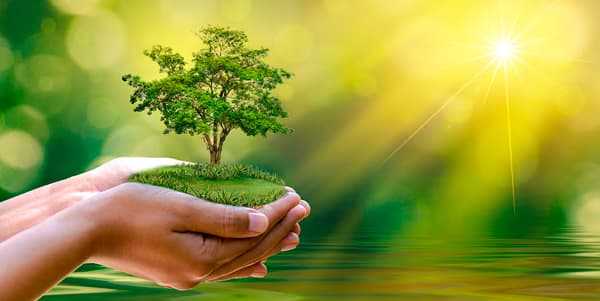 Consultation environnementale - Notre équipe en action